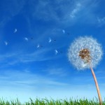 InfluencerMarketingWhitepaper